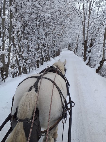 GARNIER LUCIE - CENTRE EQUESTRE "Chez Les Petits Lu" - photo 1