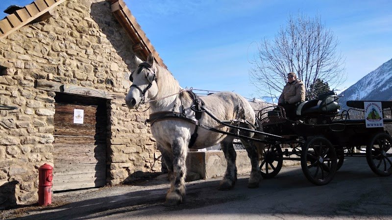 GARNIER LUCIE - CENTRE EQUESTRE "Chez Les Petits Lu" - photo 3