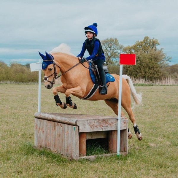 Ecuries du Centaure - photo 1