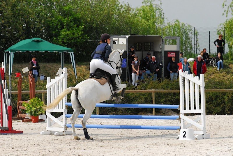Société Hippique de la Tanière - photo 1