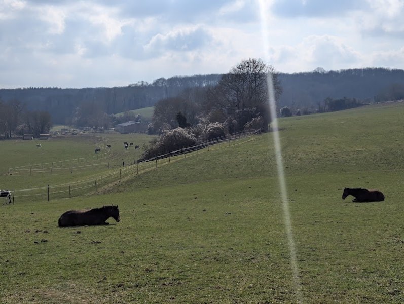 Ferme de Berval, pension pour chevaux - photo 2