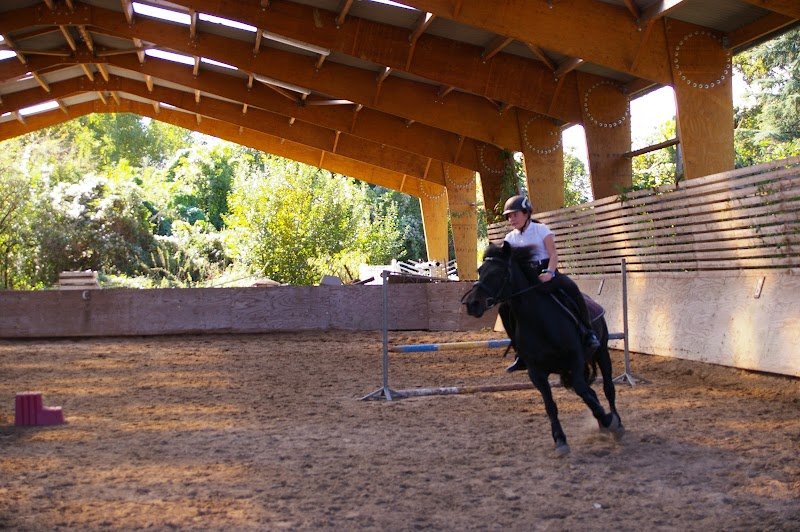 HARAS DE LA FONTAINE CYPIERRE - photo 2