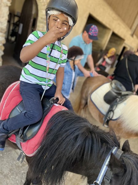 HARAS DE LA FONTAINE CYPIERRE - photo 3