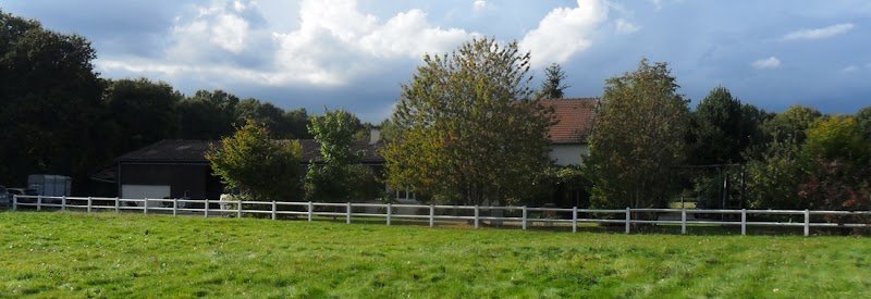 Pension pour chevaux - La Grange Colombe - photo 1