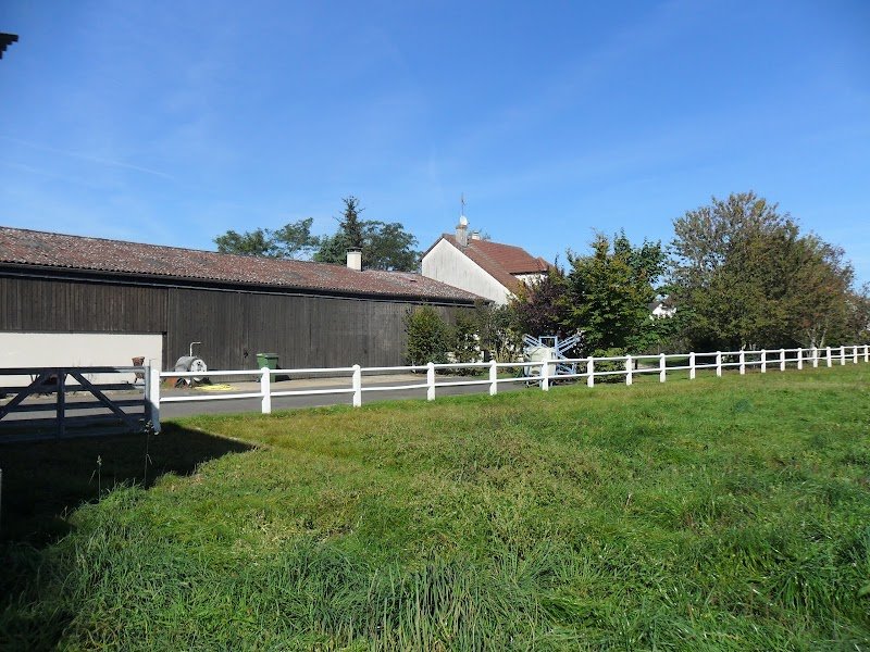 Pension pour chevaux - La Grange Colombe - photo 2