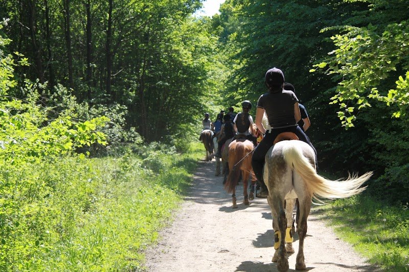 CENTRE EQUESTRE PONEY CLUB DE RAMBOUILLET - photo 2