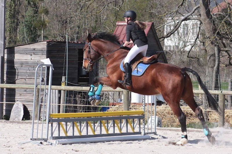 CENTRE EQUESTRE PONEY CLUB DE RAMBOUILLET - photo 3