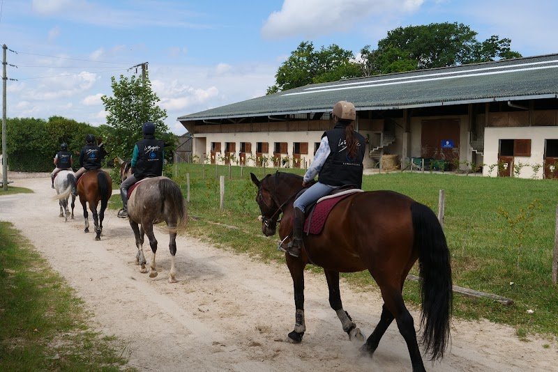 Centre Équestre de la Bergerie Nationale - photo 2