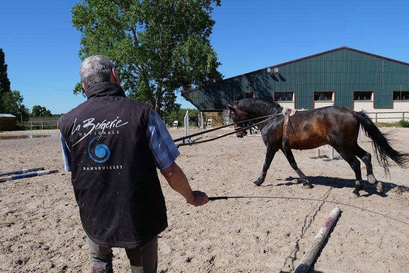 Centre Équestre de la Bergerie Nationale - photo 3