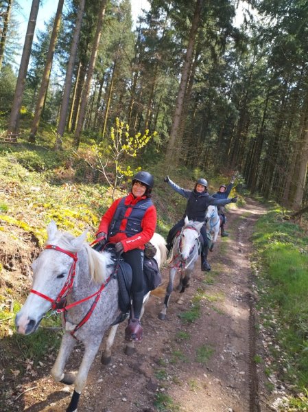 Écuries Al Andalus - photo 1