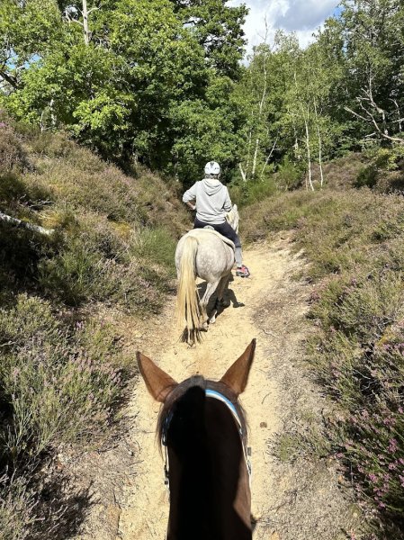 Écuries Al Andalus - photo 2