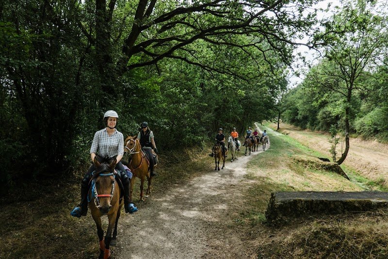 Écuries Al Andalus - photo 3