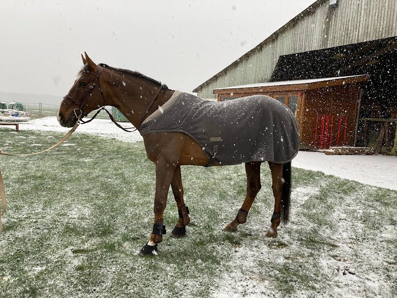 Poney-Club du Vieil Orme - photo 2