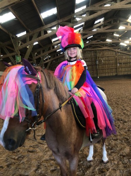 Poney-Club du Vieil Orme - photo 3