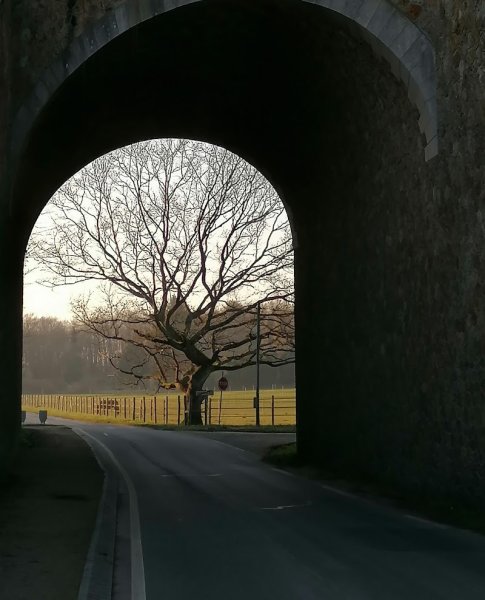 Equi-Pres – Pension Équine