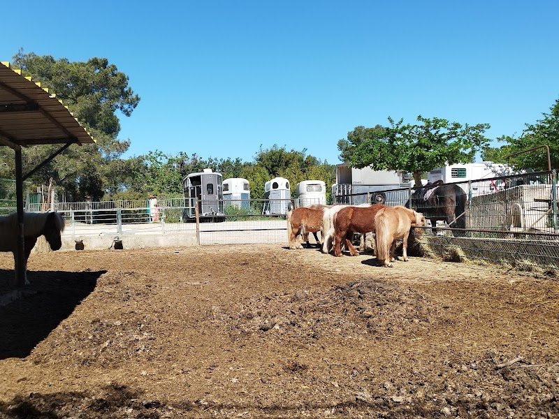 Poney Club des Oratoires - photo 3