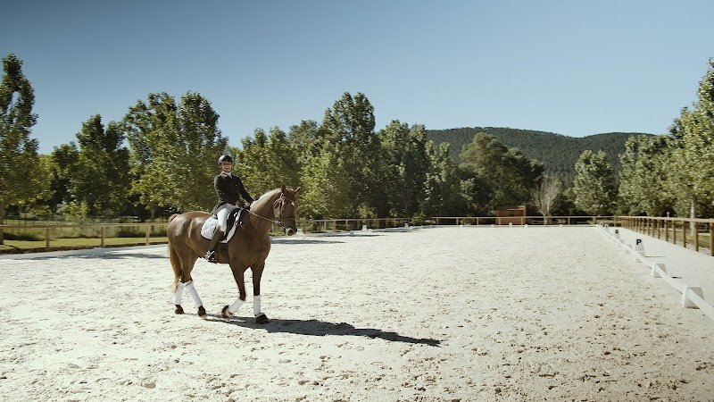 Les écuries de Notre Dame - photo 1