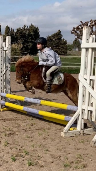 Centre équestre de Fréjus - photo 2