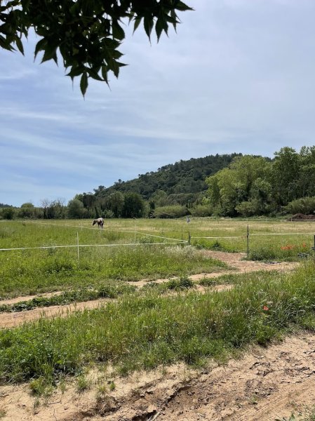 Écurie de Sauvebonne - photo 2