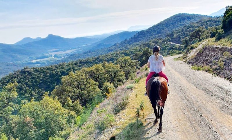 Écurie de Sauvebonne - photo 3
