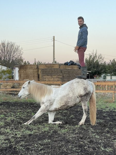 Écurie Benjamin Torrano - photo 1