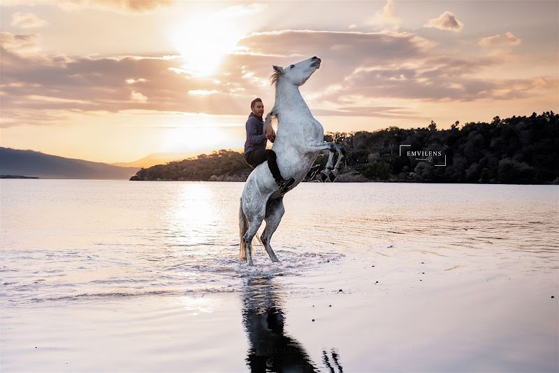 Écurie Benjamin Torrano - photo 2