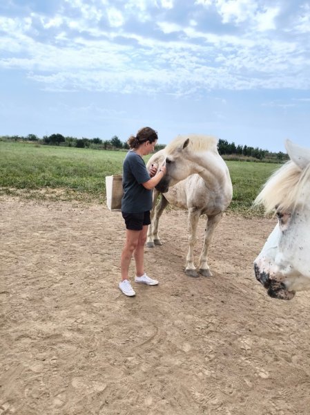 Haras Ange Blanc - photo 1