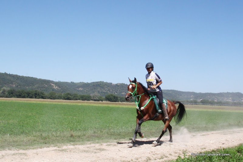 Les Chevaux de Suleiman - photo 2