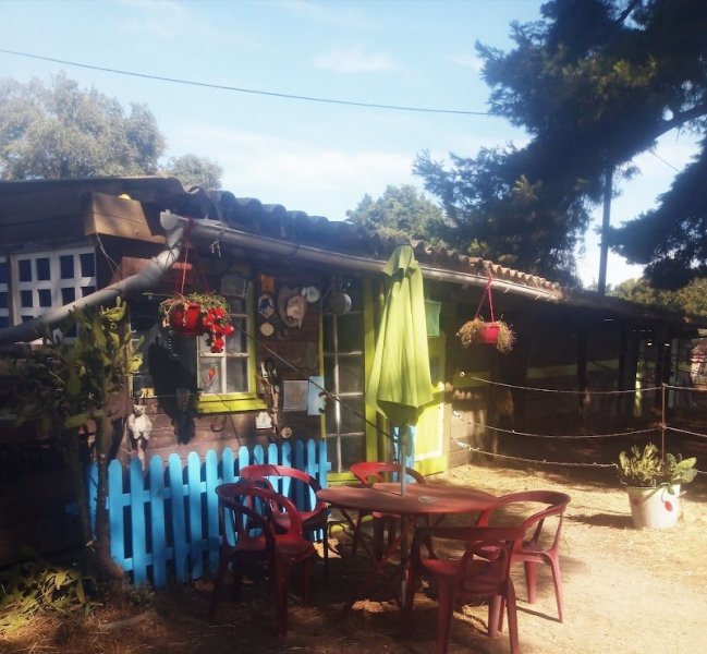 L’écurie du Mas de Cocagne - Gardiennage de chevaux - photo 2