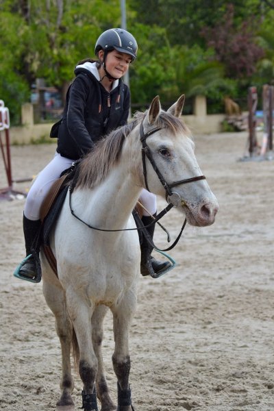 Les Ecuries du Brusc Centre équestre - photo 3