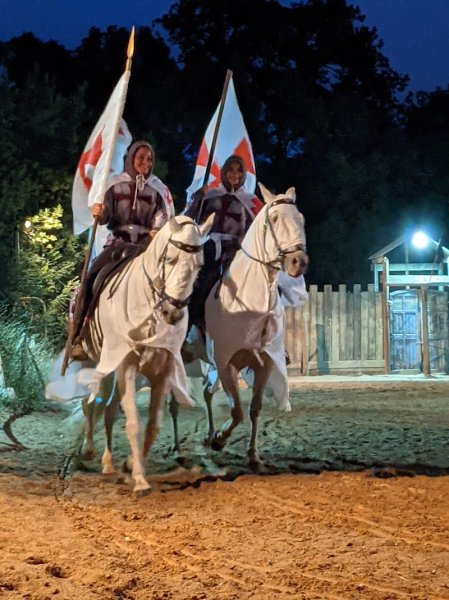 Écurie de Caravaille - photo 2