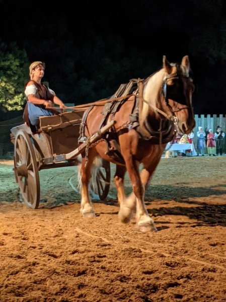 Écurie de Caravaille - photo 3