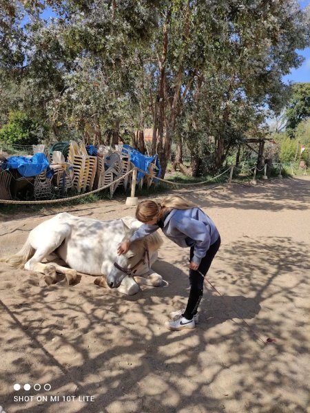 Pony's Ranch - photo 1