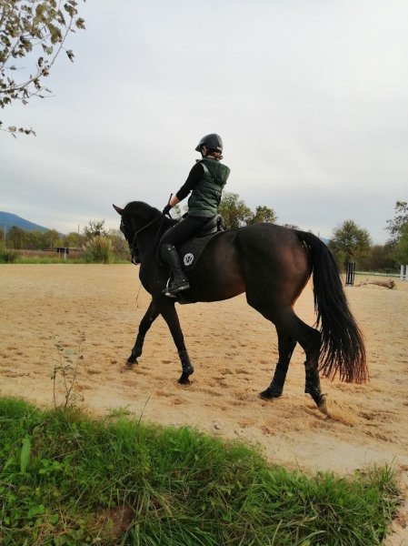 HARAS DES LONES - photo 1