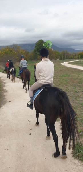 LES ECURIES DU PARC - photo 2