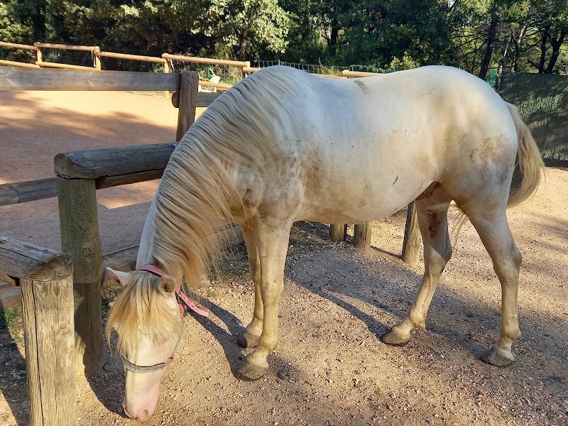 Écuries MCR - photo 2