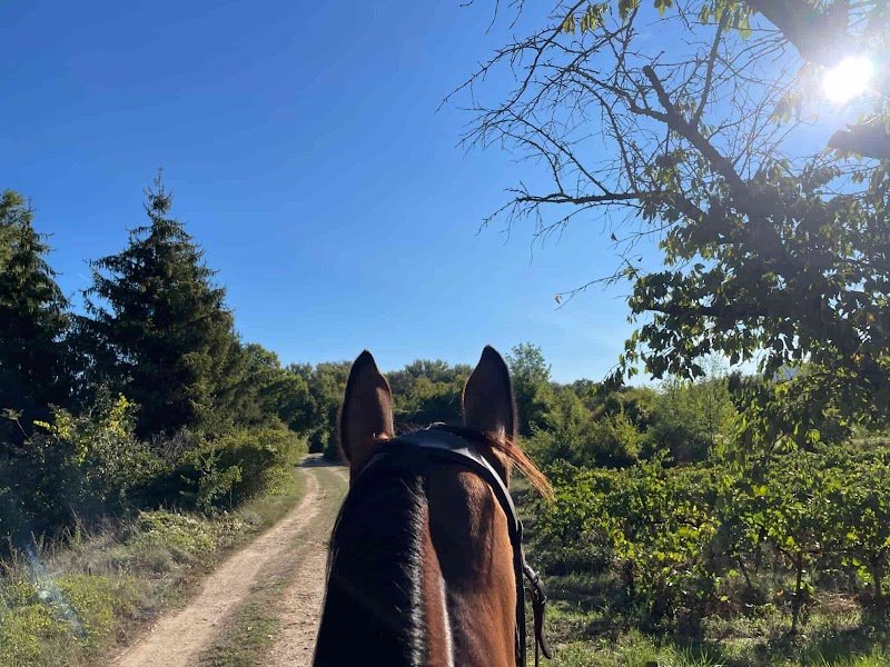 Écurie De La Rive Au Loup