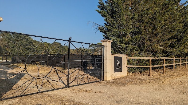 Haras La Colombiere - photo 1