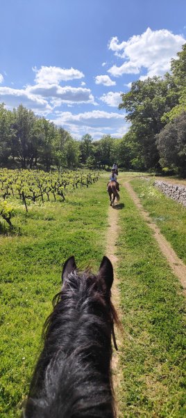 Centre équestre de la Renarde - photo 3