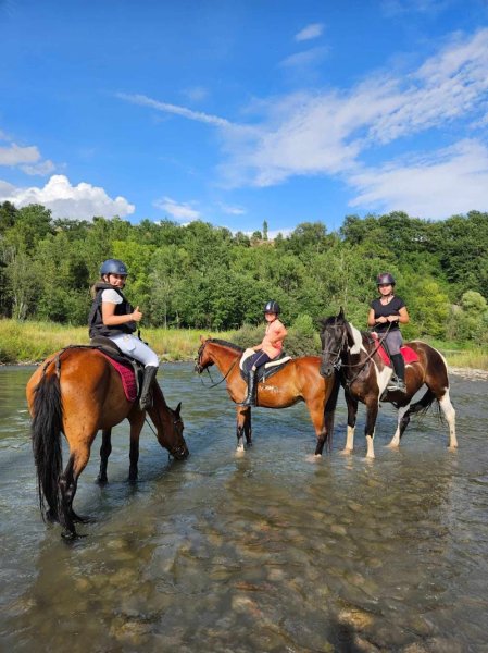 Haras Val de Camps - photo 2