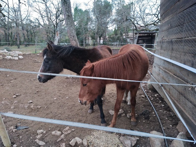 ECURIE MATHIEU RONDEAU