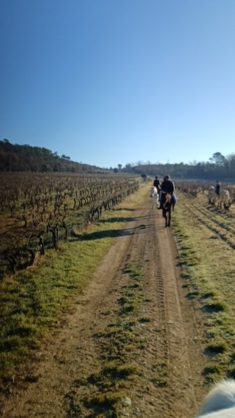 ECURIE MATHIEU RONDEAU - photo 3