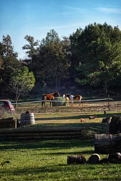 Les Sabots de Saint Hilaire, centre équestre - photo 2