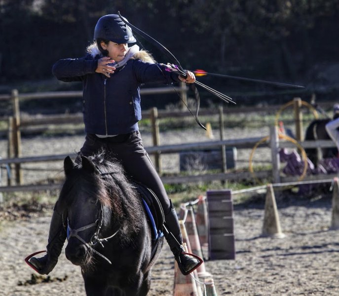 Les Sabots de Saint Hilaire, centre équestre - photo 3