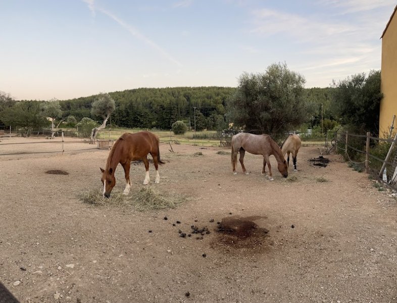 Ecuries de Bacylo - photo 1