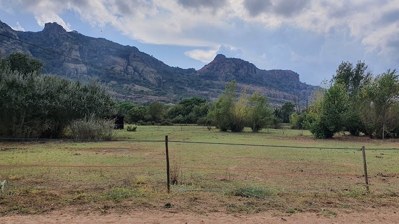 Les chevaux de la roquette - photo 1