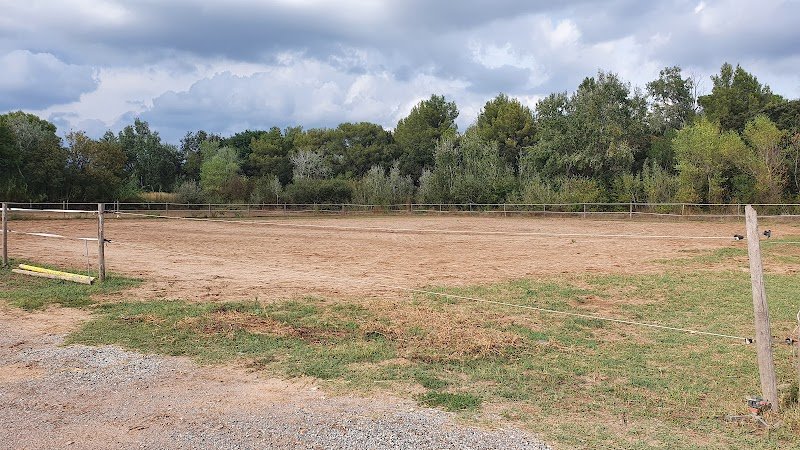 Les chevaux de la roquette - photo 2