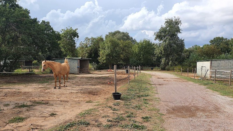Les chevaux de la roquette - photo 3