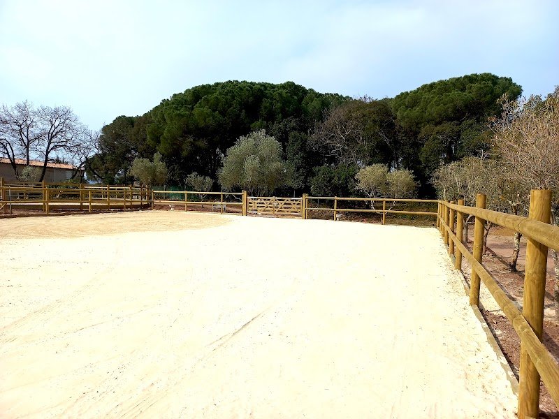 Écurie privée Quinta BoéMia - photo 2