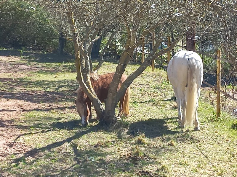 Écurie privée Quinta BoéMia - photo 3